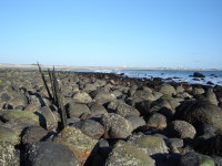 East Matunuck State Beach