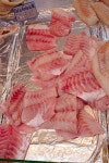 Lates niloticus