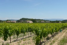 Luberon AOC