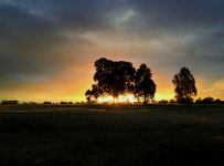 Royal Park, Melbourne