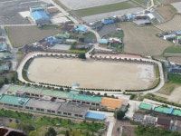 금성초등학교 (진도군)