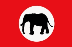 Mwananyanda Liwale
