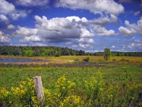 Erie National Wildlife Refuge