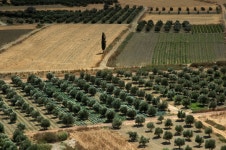 Agriculture in Greece