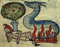 샐러맨더 (전설)