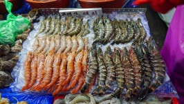 Chinese white shrimp