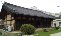 동경관