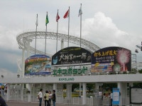 엑스포랜드