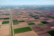 Agribusiness