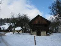 Unično