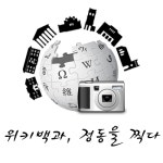 위키백과:위키백과, 정동을 찍다