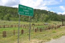 Dallas Divide