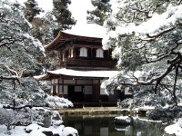Institution:Ginkaku-ji