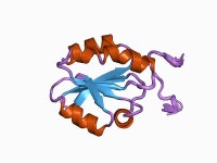 Thioredoxin