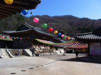 보광사 (파주시)