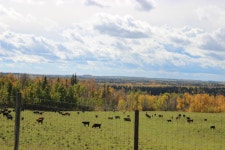 Evansburg, Alberta