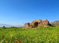 Ardashir I