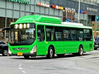 지선버스