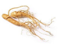Ginseng