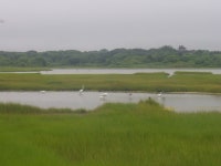 Salt pannes and pools