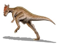 2006 in paleontology