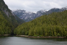 Great Bear Rainforest