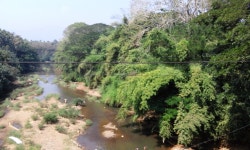 Kuthirappuzha