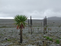 List of World Heritage Sites in Ethiopia