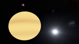 PSR J1719−1438 b
