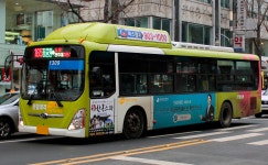 전일여객