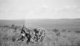 Battle of Paardeberg