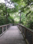 Bluebonnet Swamp Nature Center