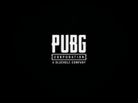 PUBG (franchise)