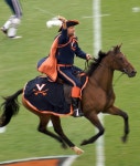Southern chivalry