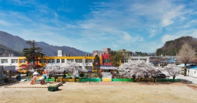 매화초등학교 (경북)
