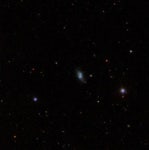 Markarian 1263