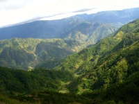 Cordillera Central (Luzon)
