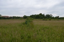 Thornwood Common Flood Meadow