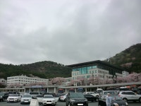 해군사관학교 (대한민국)