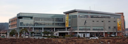 성남고등학교 (세종)