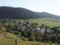 Koritnice