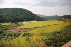 Agriculture in South Korea