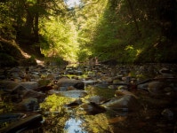 Pescadero Creek County Park