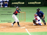 Baseball rules