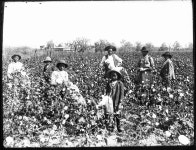 History of African-American agriculture