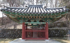 죽죽