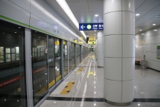 달미역