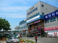 함안버스터미널