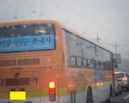 새천년미소