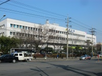서구 (대구광역시)